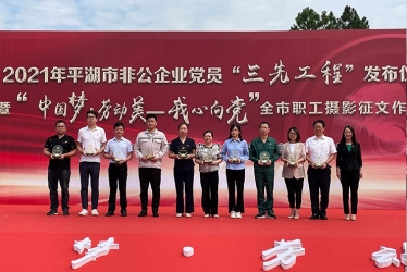 浙江鴻禧能源股份有限公司210電池技術(shù)攻關(guān)項(xiàng)目組榮獲平湖市非公企業(yè)“黨員先鋒團(tuán)隊(duì)”榮譽(yù)稱號